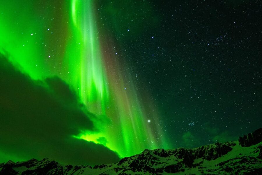 Tromsø Adventurous Northern Lights Small-Group - Is $131 a fair price?