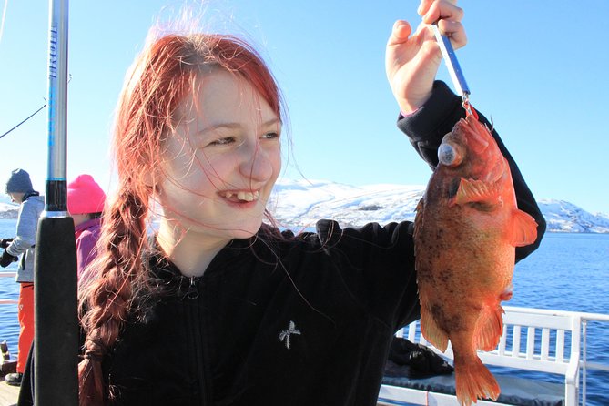 Tromsø: Arctic Fjord Cruise & Fishing Experience - A Five-Hour Arctic Outing from Tromsø Harbor