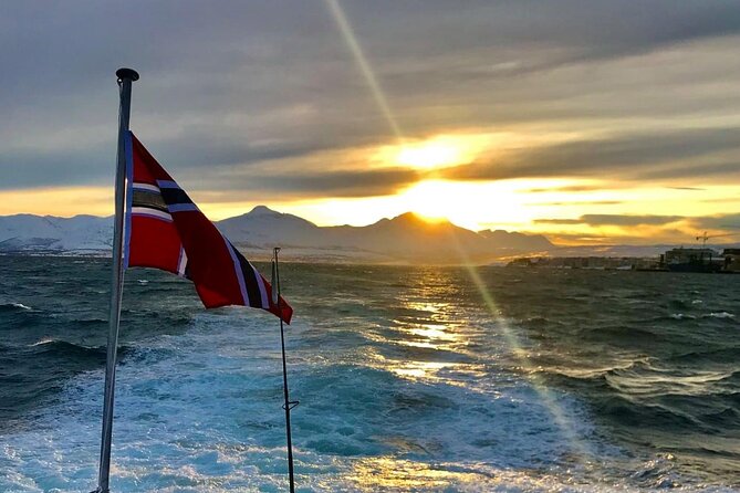 Tromsø: Arctic Fjord Cruise & Fishing Experience - From Catch to Fish Soup
