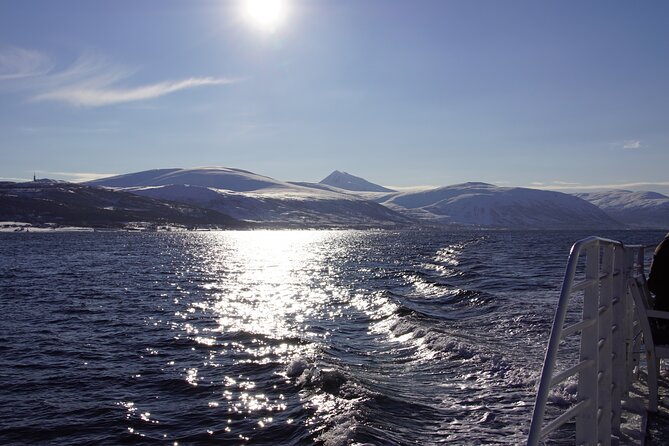 Tromsø: Arctic Fjord Cruise & Fishing Experience - How Much Value You Get for $156.08
