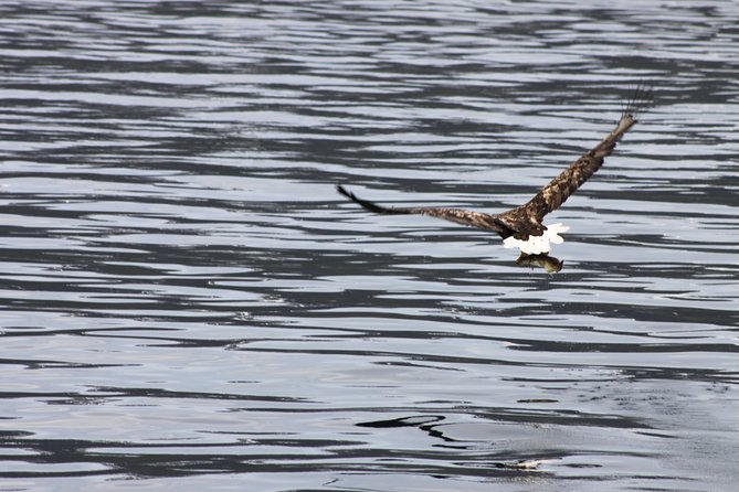 Tromsø: Arctic Fjord Cruise & Fishing Experience - Who Should Book This Tromsø Cruise?