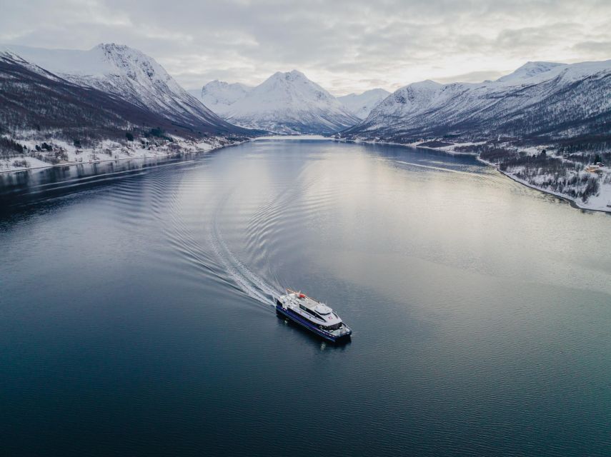 Tromsø: Arctic Fjord Cruise in Polar Landscapes - The outdoor decks are where the trip feels most Arctic