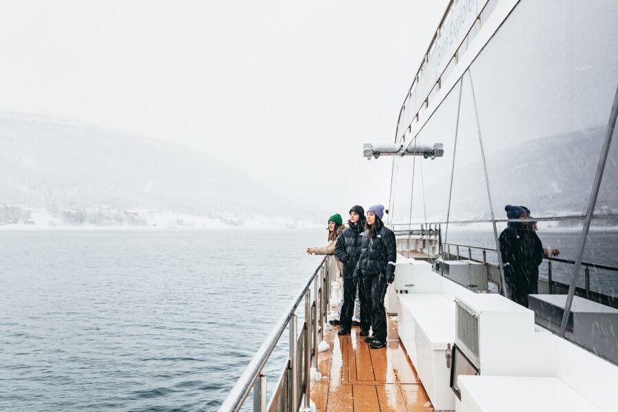 Tromsø: Arctic Fjord Cruise With Stop On Land At Fish Racks - Leaving Tromsø for the Arctic waterways
