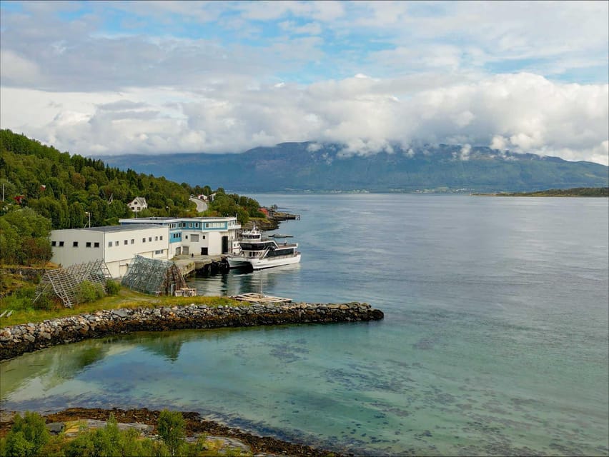 Tromsø: Arctic Fjord Cruise With Stop On Land At Fish Racks - Store Grindoya and the open-water views