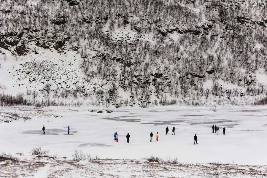 Tromsø: Arctic Landscape and Fjord Tour with Snacks - Key points to know before you book