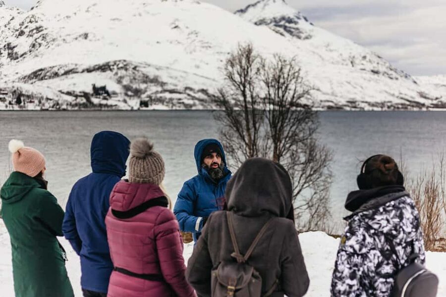 Tromsø: Arctic Landscape and Fjord Tour with Snacks - Wildlife and photography in Arctic conditions