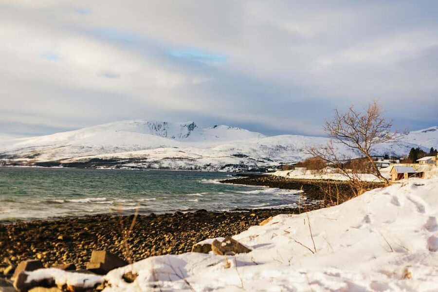 Tromsø: Arctic Landscape and Fjord Tour with Snacks - What the five-hour schedule feels like