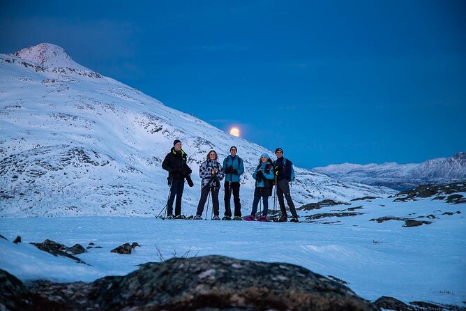 Tromsø: Arctic Landscapes Hiking / Snowshoeing Tour in the wild - Reaching the viewpoints around Tromsø