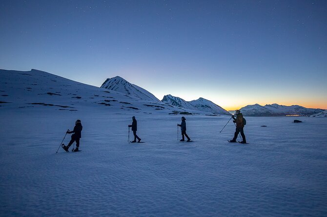 Tromsø: Arctic Landscapes Hiking / Snowshoeing Tour in the wild - Riding the 4x4 toward the fjords