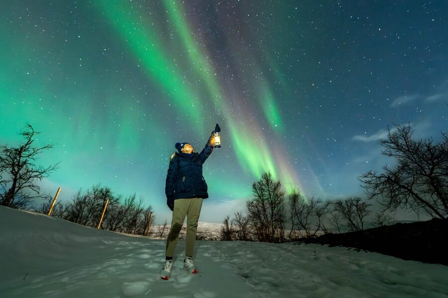 Tromsø: Aurora Borealis, Campfire, Hot Meal, Arctic Tour - Key points to know before booking