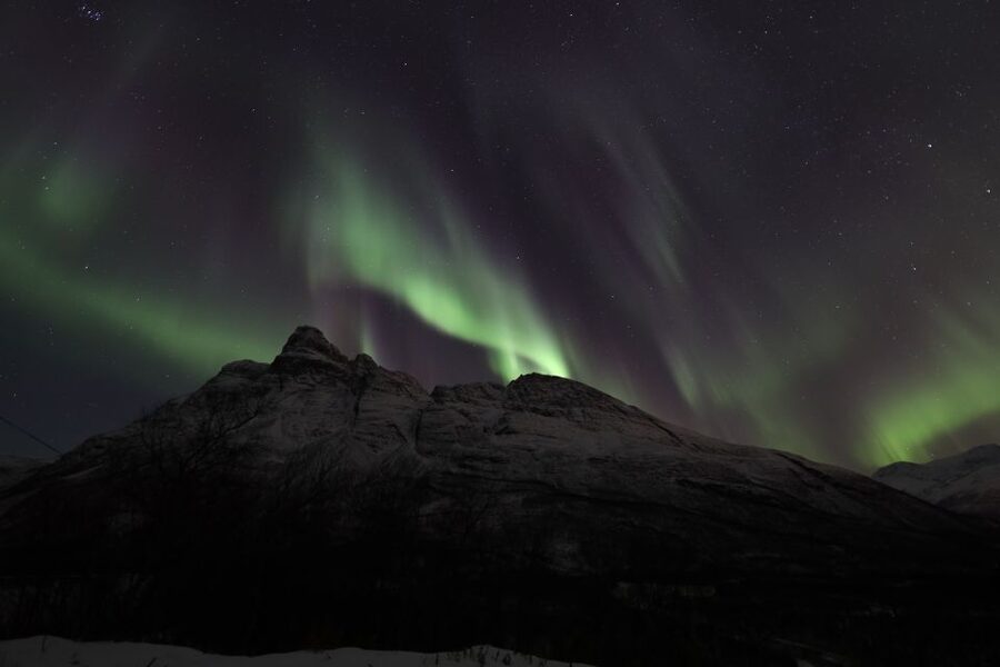 Tromsø: Aurora Borealis, Campfire, Hot Meal, Arctic Tour - Campfire food, hot drinks, and northern stories