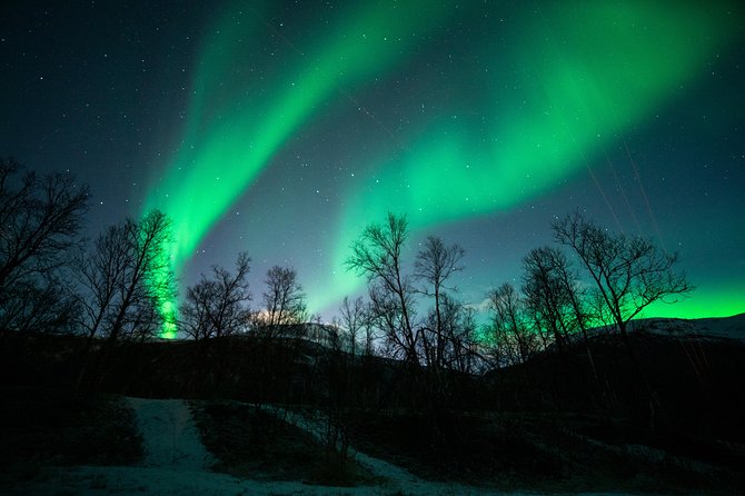 Tromso Aurora Chase by Minibus with Thermal Suit, Snack and Photo - Aurora photography and what you receive