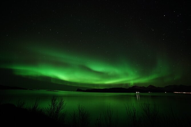 Tromso Aurora Chase by Minibus with Thermal Suit, Snack and Photo - Who should book this aurora tour