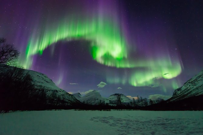 Tromso Aurora Hunt with Bonfire, Soup, Winter Gear & Transfers - What the Northern Lights may really look like