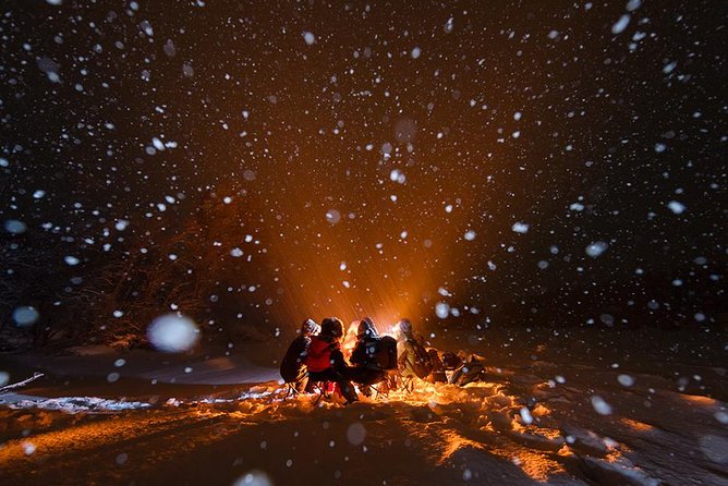 Tromso Aurora Hunt with Bonfire, Soup, Winter Gear & Transfers - Photography help and souvenir pictures