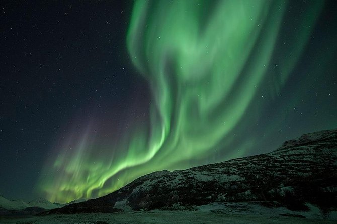 Tromso Aurora Hunt with Bonfire, Soup, Winter Gear & Transfers - Thermal suits help, but dress properly underneath