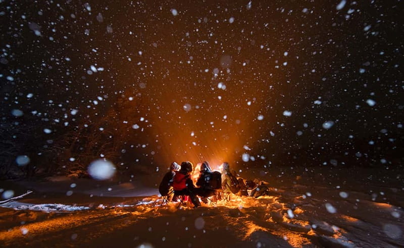 Tromsø: Aurora Hunt with Citizen Science - Citizen science under Arctic skies