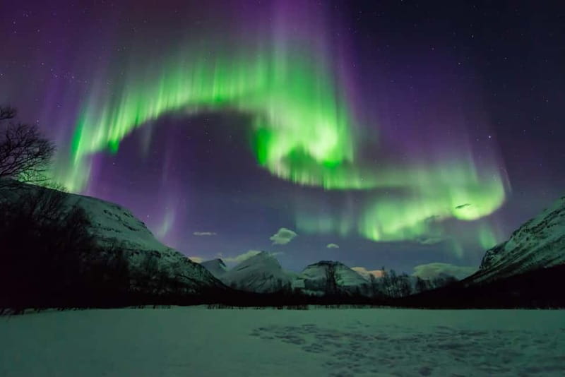 Tromsø: Aurora Hunt with Citizen Science - Meeting at Scandic Ishavshotel