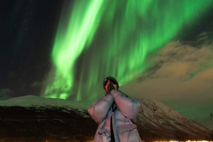 Tromsø: Aurora Quest Minibus Adventure - Key points to know before booking