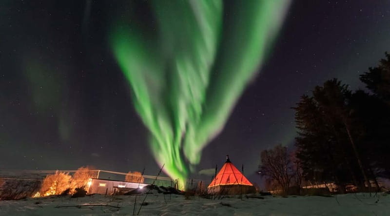 Tromsø: Aurora Safari Chase by big bus with Camp meal - Key points at a glance
