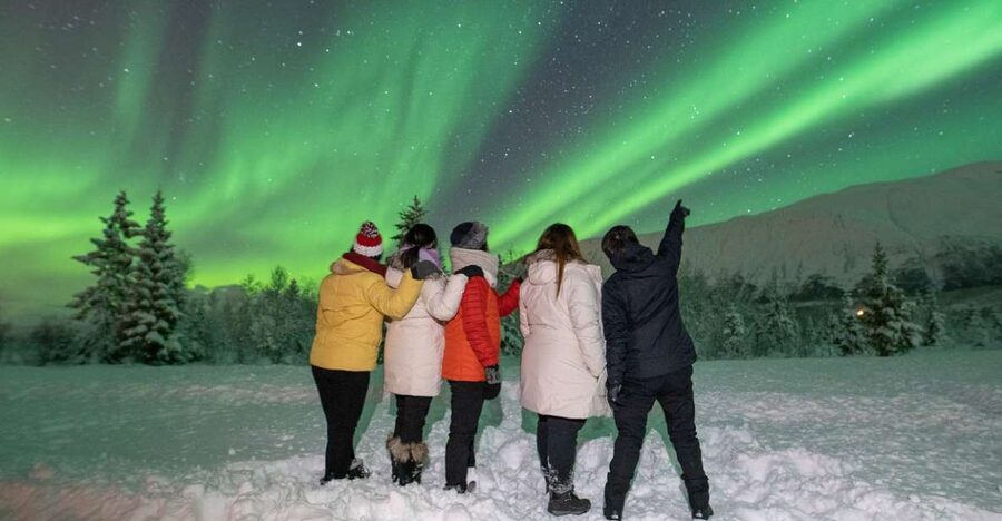 Tromsø: Aurora Safari Chase by big bus with Camp meal - Getting your own aurora portrait