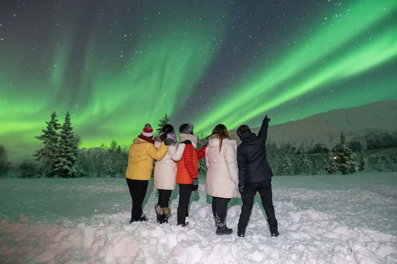 Tromsø: Aurora Safari Chase by big bus with Camp meal - Why the weather plan matters