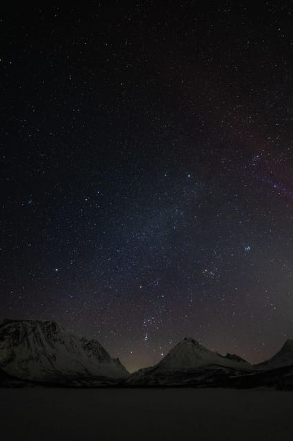 Tromsø: Aurora Tour with Photos, Campfire and Arctic Food - Reindeer sausage, vegan food, and the famous chai