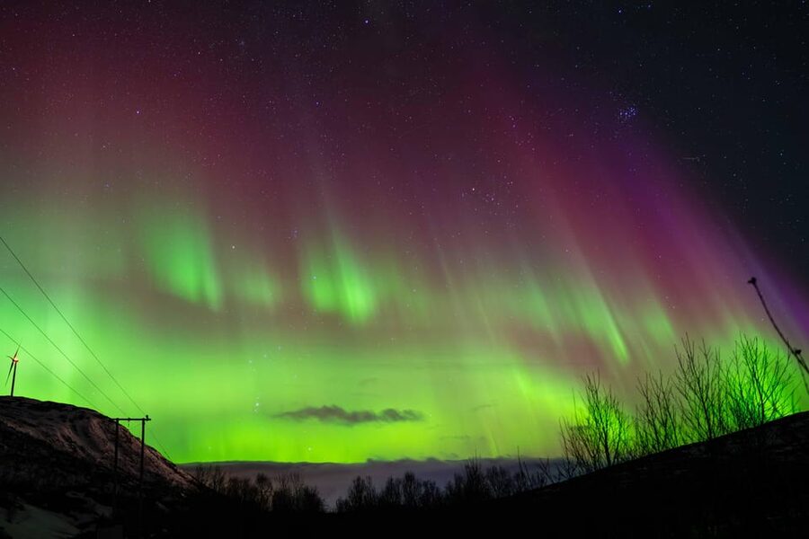 Tromsø: Aurora Tour with Photos, Campfire and Arctic Food - Guides who make the small group work