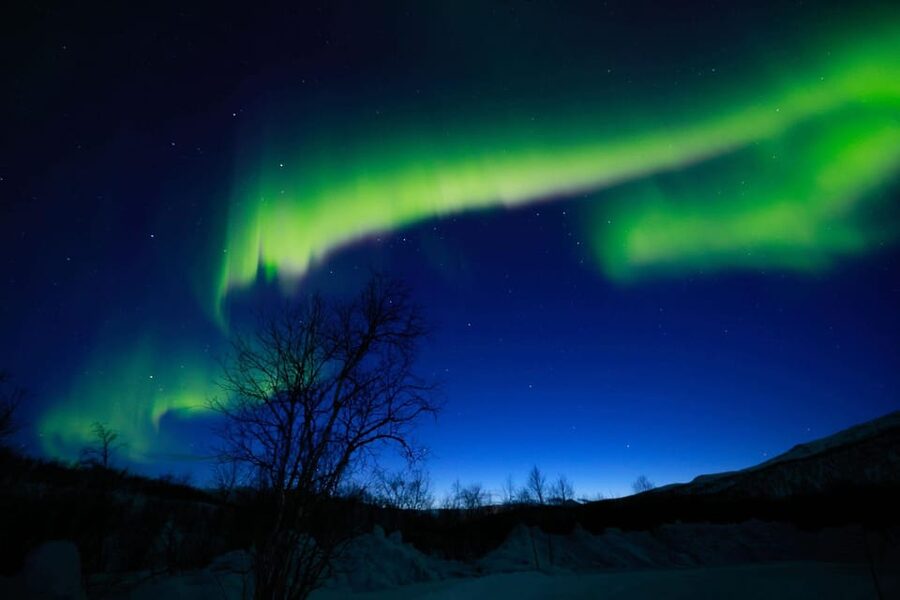 Tromsø Chinese Aurora Tour - Who will enjoy this night most