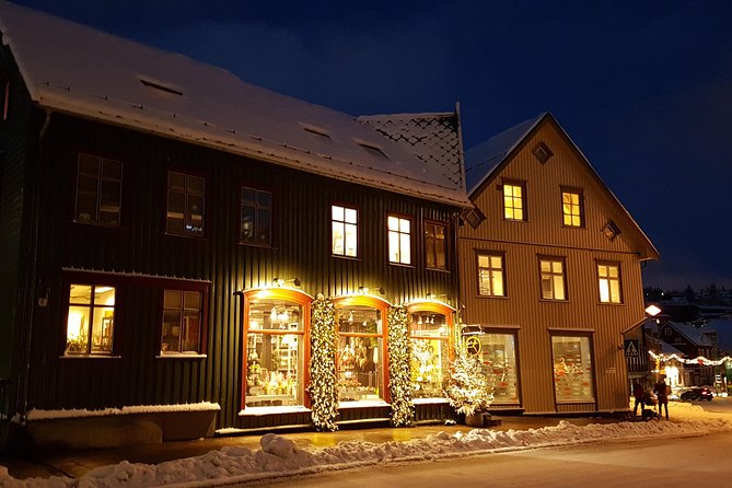 Tromsø City Walk - Meeting a local guide in central Tromsø