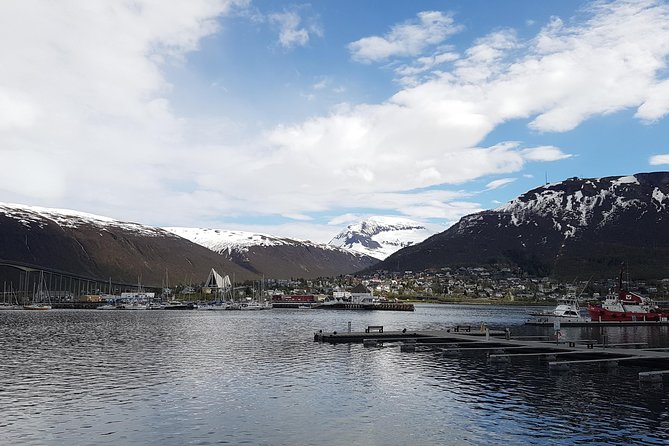 Tromsø City Walk - Weather, comfort, and practical limits