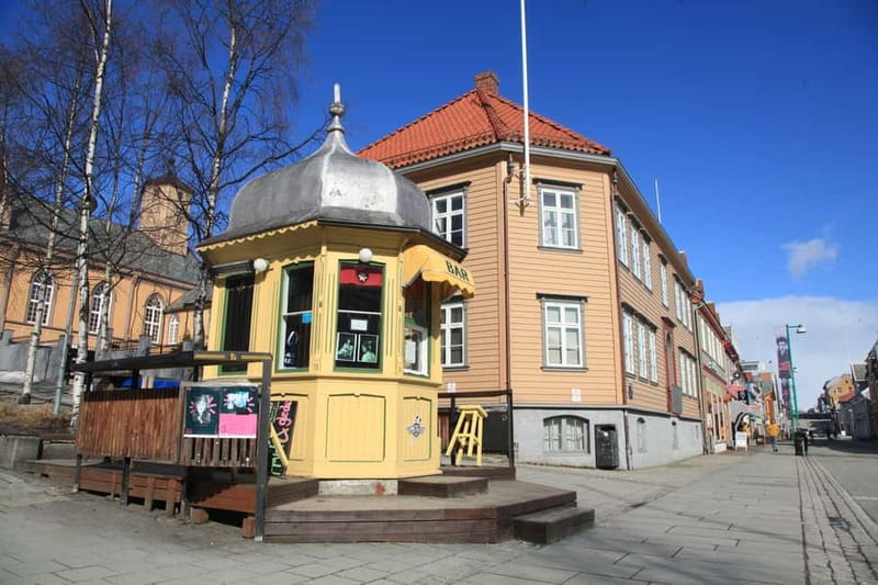 Tromsø: City Walk & Polar Museum (Private or Shared) - From the ice age to 9,000 years of northern life