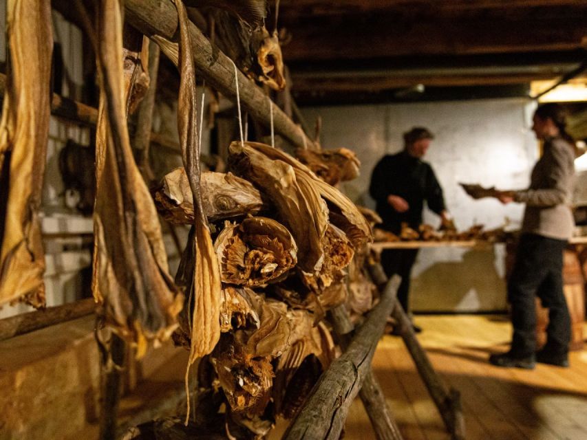 Tromso: Cod-Tasting Tour with Full Steam Museum Entry - Practical timing advice for a better visit