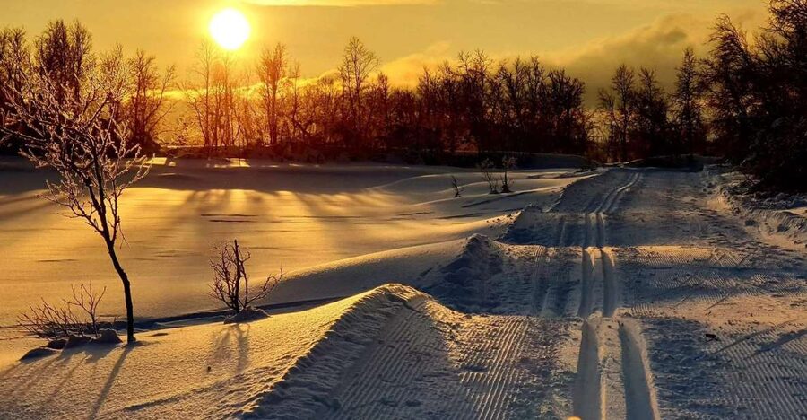 Tromsø: Cross Country Guided Skiing Course - The first lesson: balance before distance
