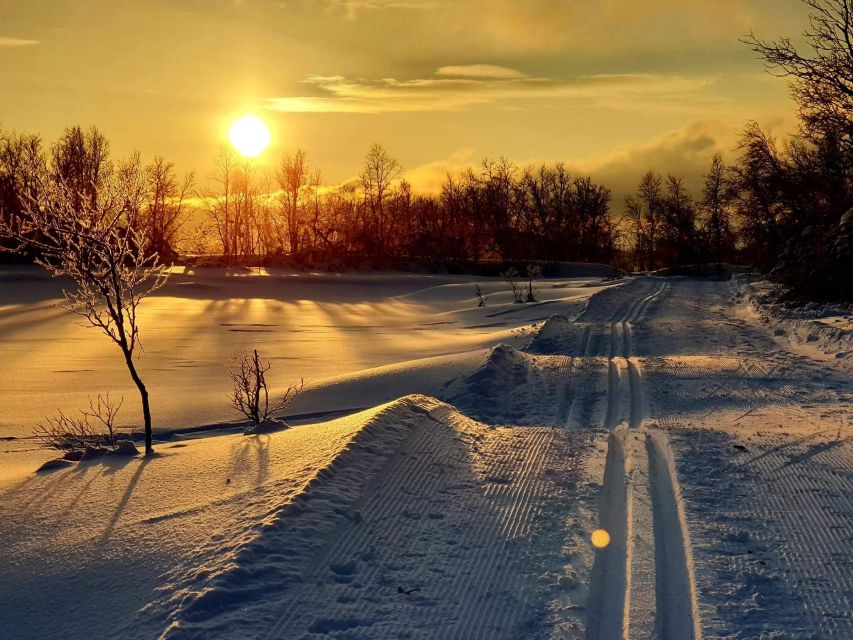 Tromsø: Cross Country Guided Skiing Course - Starting at Charlottenlund Aktivitetspark