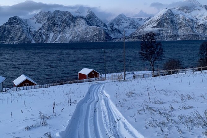 Tromsø Cross-Country Ski Adventure - Practical details that affect your day