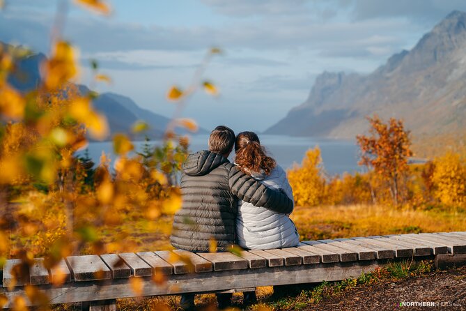 Tromsø: Day trip to the island of Sommarøy through the Fjords - Beaches, fjords, and quiet snow