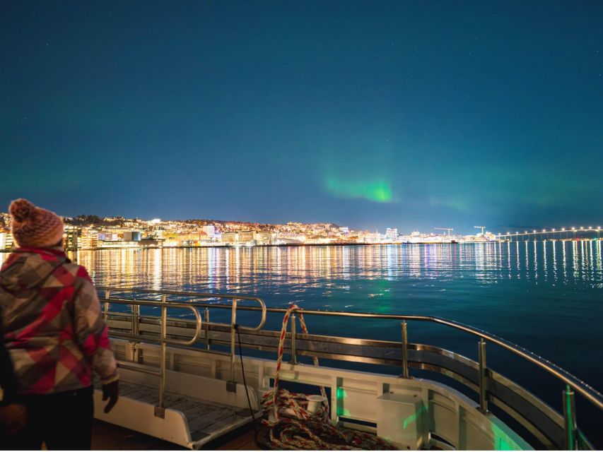 Tromsø: Electric Northern Lights Cruise - Should you book the Electric Northern Lights Cruise?