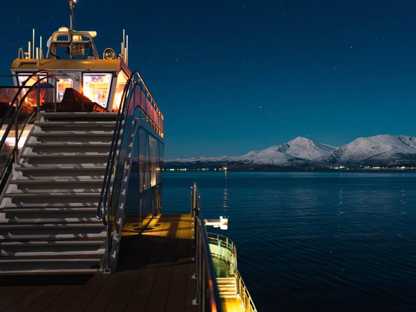 Tromso Electric Northern Lights Cruise - Guides, explanations, and the human side of the trip