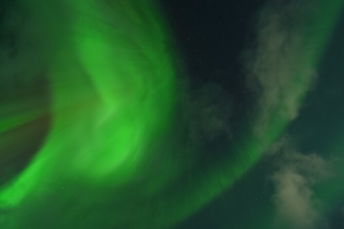 Tromsø: English/Spanish Aurora Pathfinder Tour with Photos - The real cost of the $172.23 price