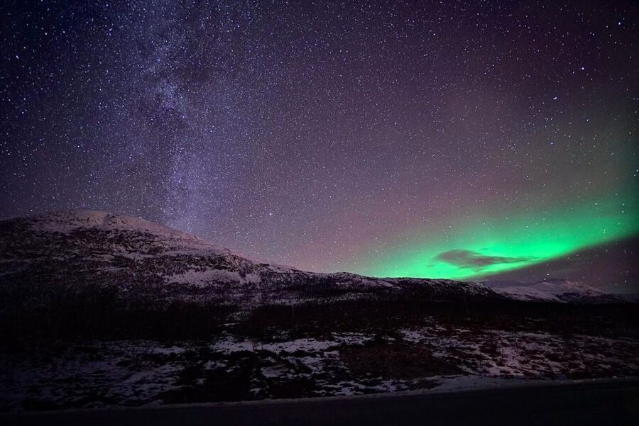 Tromsø: Evening Aurora Cruise (dinner optional) - Key points before you book