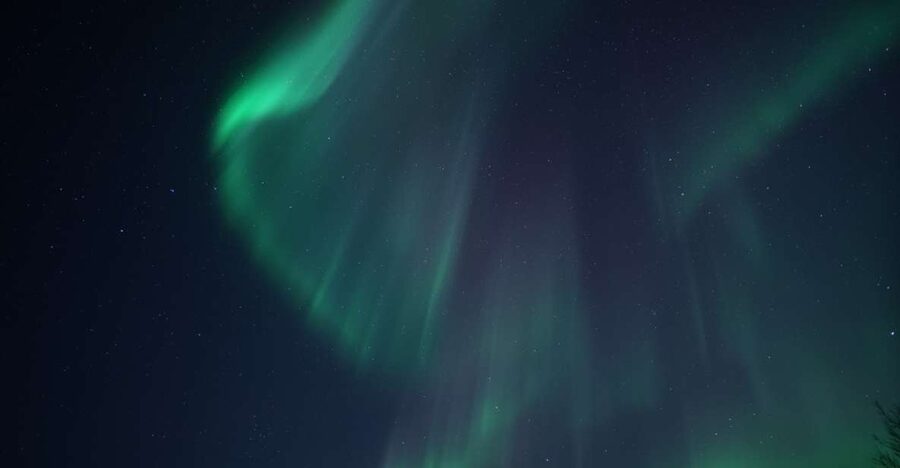 Tromsø: Evening Aurora Cruise (dinner optional) - A Northern Lights hunt from Tromsø’s waterfront