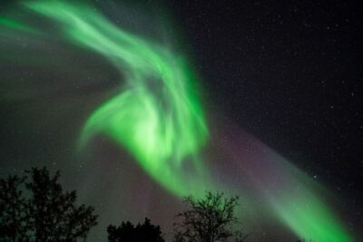 Evening Aurora Cruise (dinner optional)
