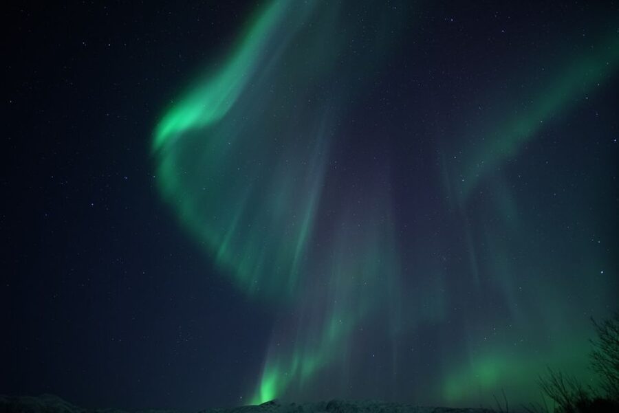 Tromsø: Evening Aurora Cruise (dinner optional) - The crew makes a real difference
