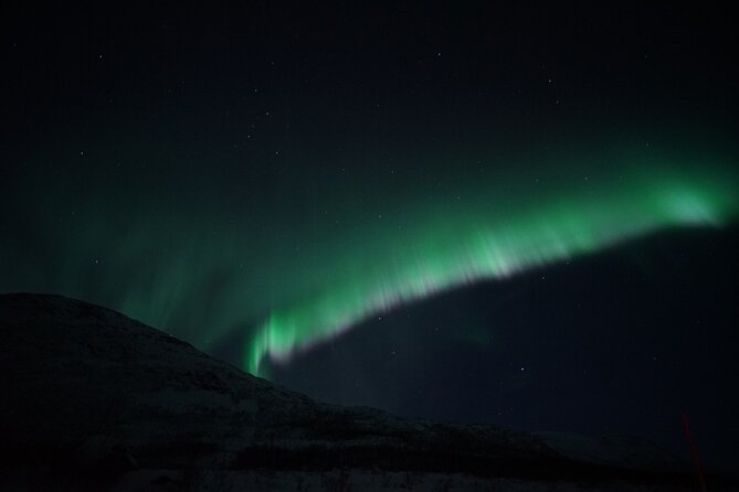 Tromsø: Evening Cruise with Northern Lights Opportunity - Leaving Tromsø at 8 p.m.