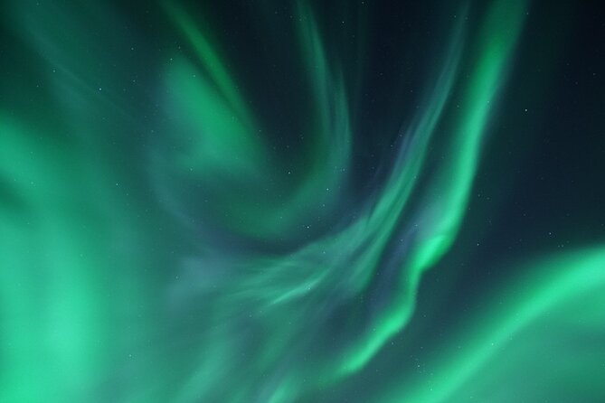 Tromsø: Evening Cruise with Northern Lights Opportunity - The boat experience: scenic, but not spacious