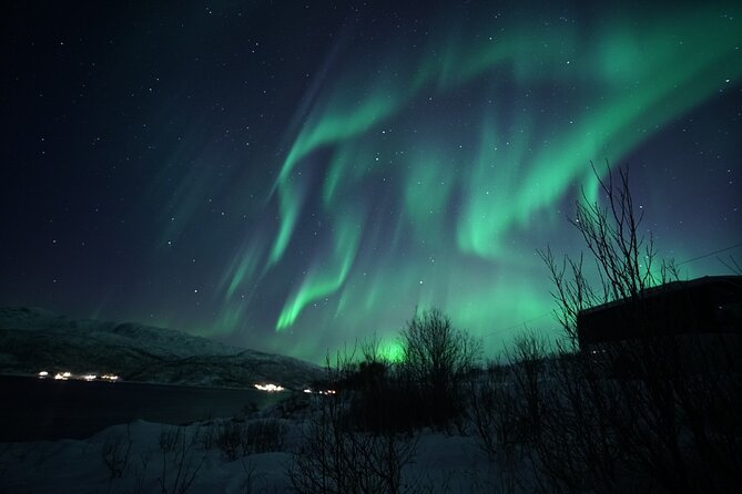 Tromsø: Evening Cruise with Northern Lights Opportunity - Is the $128.52 price fair?