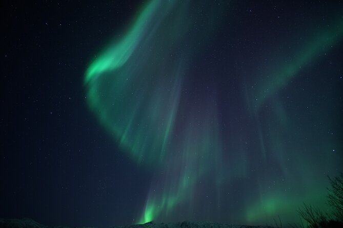 Tromsø: Evening Cruise with Northern Lights Opportunity - What the crew adds to the night