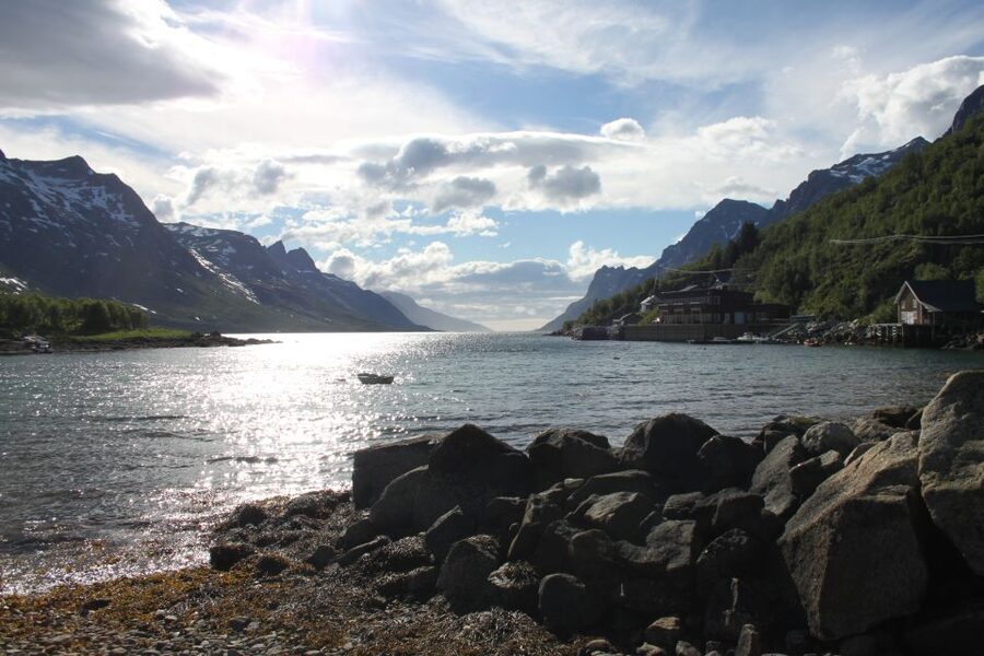 Tromsø: Exclusive Fjord Adventure by Bus - What $129 buys you