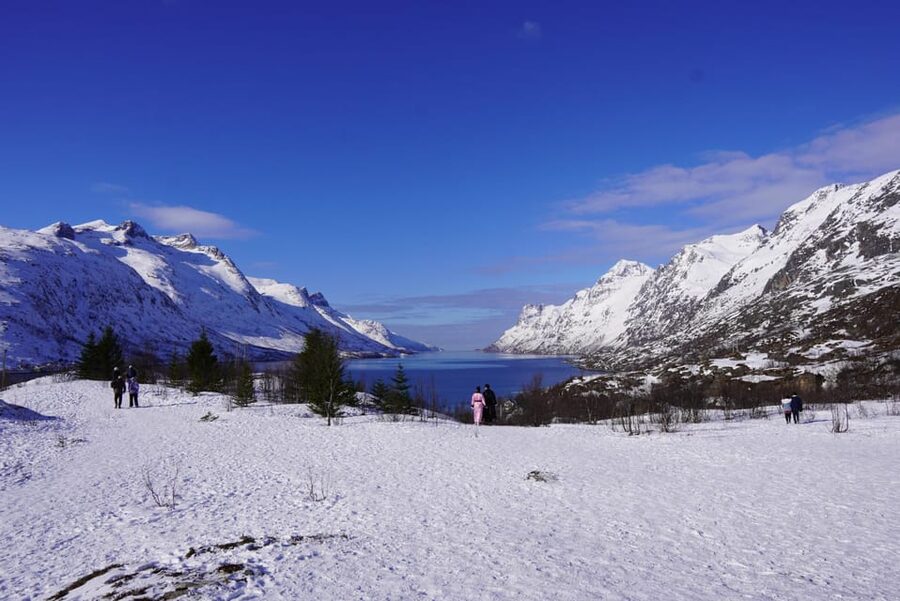 Tromsø: Exclusive Fjord Adventure by Bus - Grotfjord’s beach and mountain frame